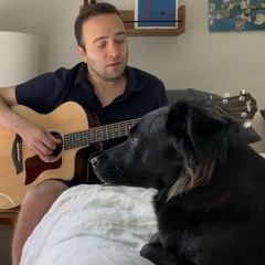 Mazanin - The Rip (cover)