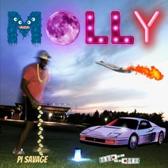 MOLLY -- pi savage