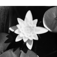 Sunday Morning Coffee (House Set Vol. 2)