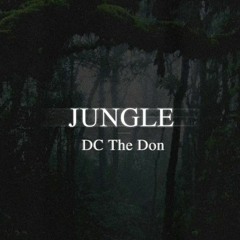 DC The Don - Jungle (Remix) [Full Deleted 2017 Song]