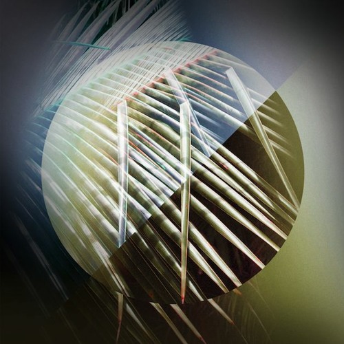 Bloom by Deya Dova - DANKTECH flip