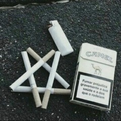white camel