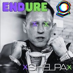 Endure | Shelpa (Benny The Butcher I95 Freestyle Flip)