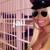 Artwork for Calabria 2007 x Nicki x Doja x Cardi