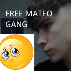 ARTEZ ARMY - RIP MATEITO #FREEMATEOGANG #ELMATEOESMIHERMANO #ALARTEZNO