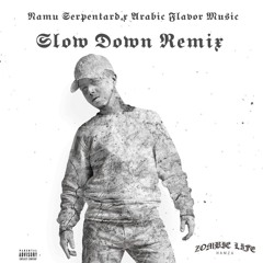 Slow Down Remix w/ Namu Serpentard