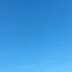 A Blue Sky Overhead