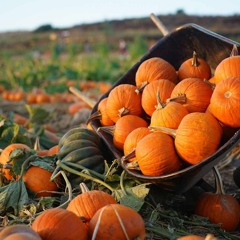 Pumpkins A Plenty: Thanks for all your playlists and comments on Funk'n Blisters Pt.1