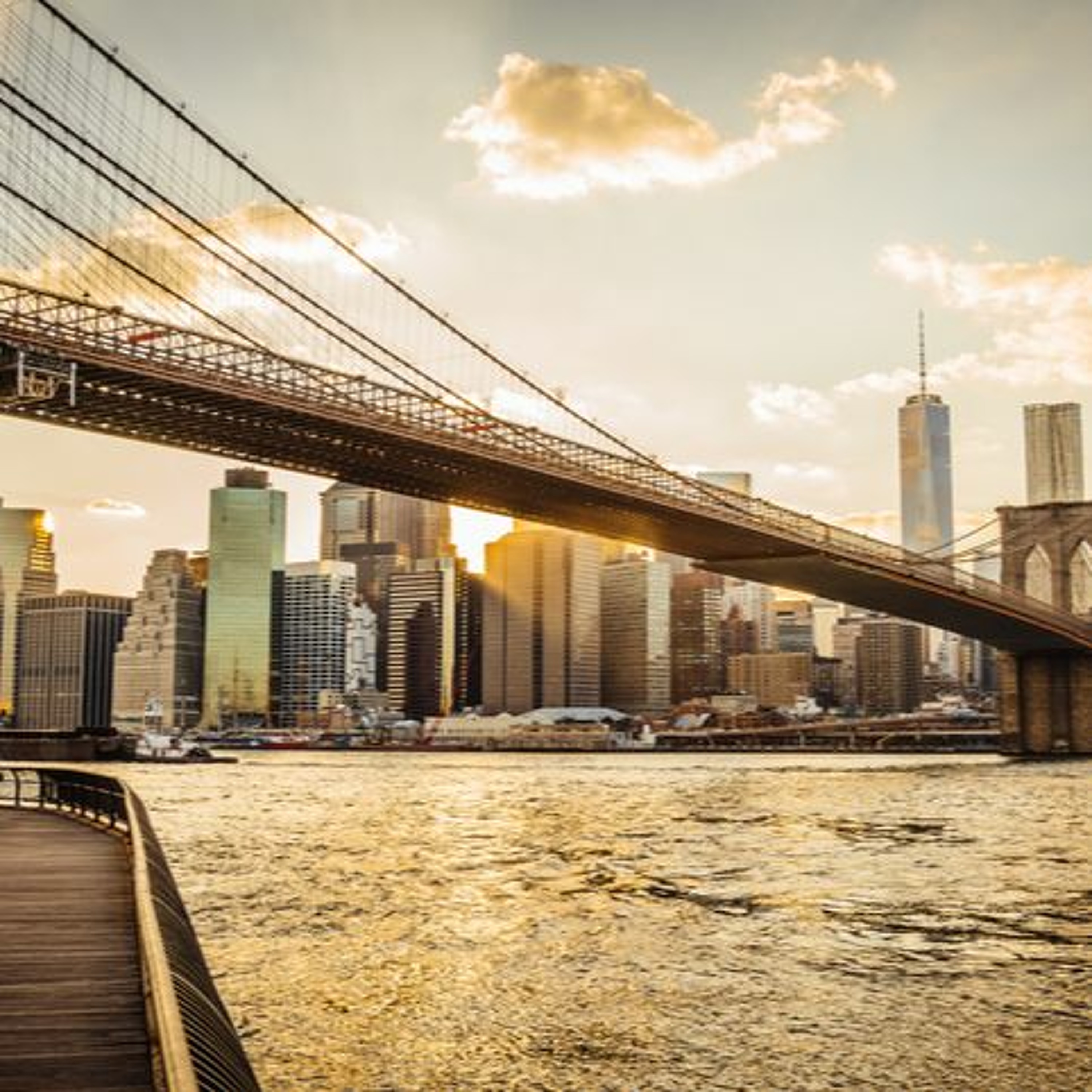 FITTON ON THE AIR-Missing: Anthony Stefani... last seen NYC... presumed dead. Matthias Jones Series. episode artwork