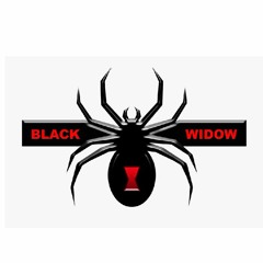 The black widow - It's A Nightmare (PREVIEW)