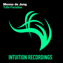 Menno de Jong - Turtle Paradise (Original Mix)