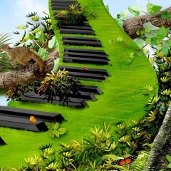 Harry T. - Alfred Heinrichs mix live Set