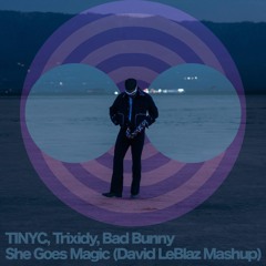 TINYC, Trixidy, Bad Bunny - She Goes Magic (David LeBlaz Mashup)