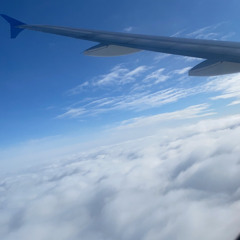 ellisd - Ferris Wheel