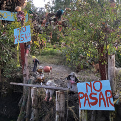 The Banished