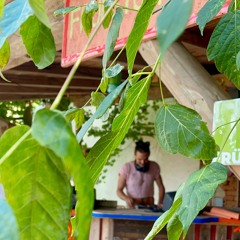 DUBABE @ Stadtflucht Festival 2024