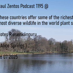 Paul Zentos Podcast 1195 @ These countries offer some of the richest and most diverse wildlife in the world plant species - Rotes Riesenkänguru ( Alice Springs ) 26 07 2025