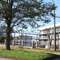 SinRumbx Ft MatiRed - Por Los Barrios - D1LUVIO - (PROD REDRUM)