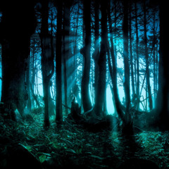 L'ombre bleue