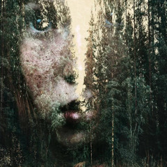 Деньги на ветер - Стихи © Светлана Панина