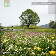 Relaxing Piano 🦢 soft & calming piano music for relaxation