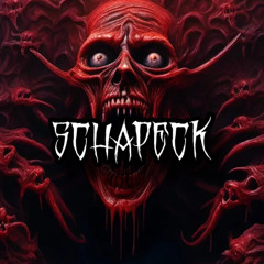 Schapeck´s 2000 Follower Special