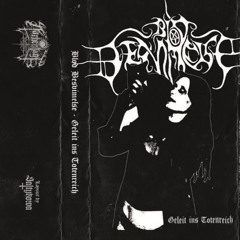 Blod Besvimelse - Omgivelsene