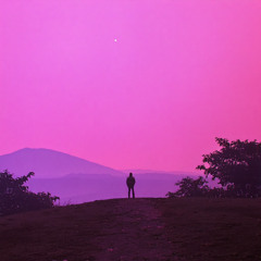 pink_sky_BABICZ_vox_