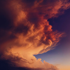 WanderWell ｃｏｎｃｅｐｔ