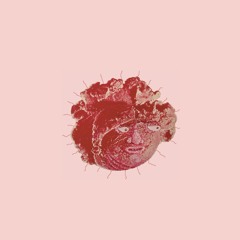 They Live in the Meadow