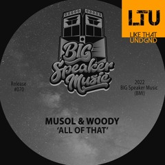 Premiere: MuSol & Woody - All Of That (Original Mix) | BIG Speaker Music