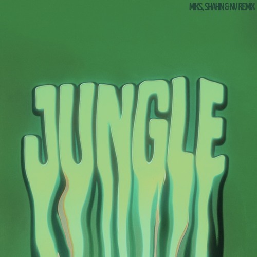 Drake - Jungle (Shahin, Miks, NV & Smeraldo remix)