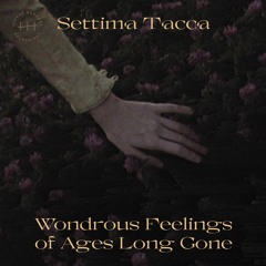 Settima Tacca - Butterfly (A2, HH08, 'Wondrous Feeling of Ages Long Gone')
