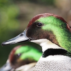 ÖND 27/06/2020 Vanadís @ Astropolis Hiver / Capta par BSide Airlines