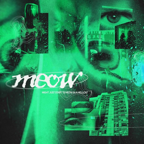 meow