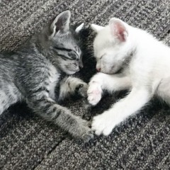 hold ur hand w/ lephina