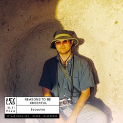 Reasons To Be Cheerful - e11 | Skylab Radio