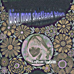 Bien Mon Shetland Blue