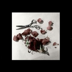 roses feel pain too