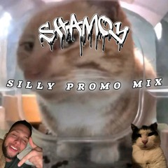 SILLY PROMO MIX [BDAY SPECIAL]