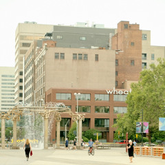 Mr. Tambourine Man, A Bob Dylan Cover, take 2