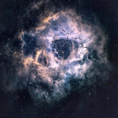 Minimal Experience Mental