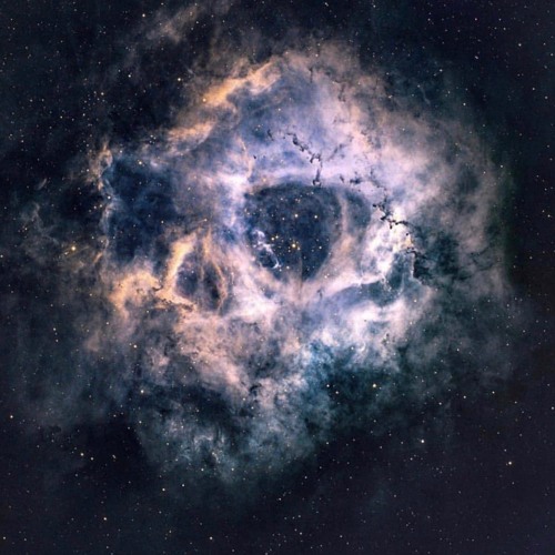 Minimal Experience Mental