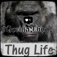 🔲🔲🔲🔲🔲"Gorilla Thugz "🔲🔲🔲🔲🔲