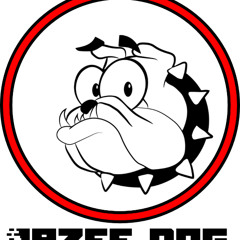 Digga Rough - Stereoimagery {COMING SOON} [LAZEE DOG RELEASE]