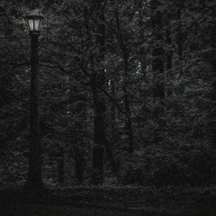 Lost Thoughts (Dissolution)