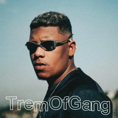TREM OF GANG