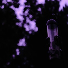 Perplex