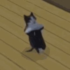 Cat Breakdancing Type Beat