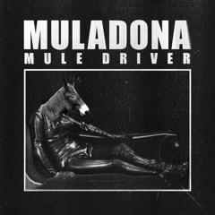 MULE DRIVER - A4 MULADONA 03 (SOT008)